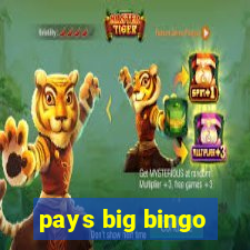 pays big bingo