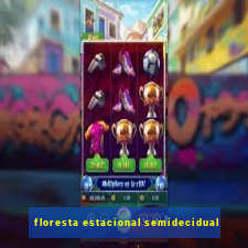 floresta estacional semidecidual