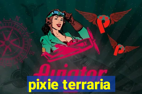 pixie terraria