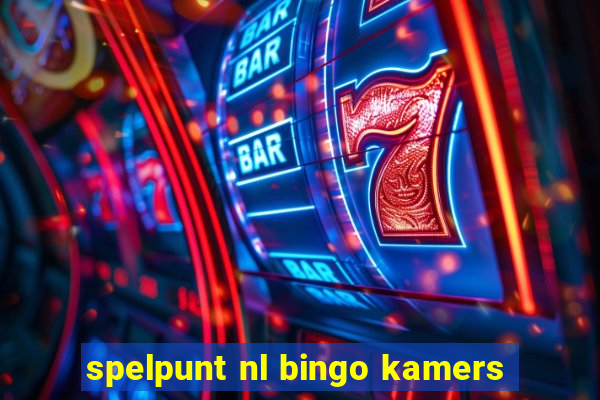 spelpunt nl bingo kamers