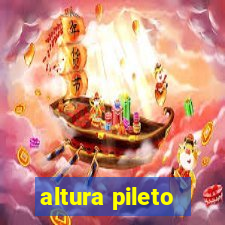 altura pileto