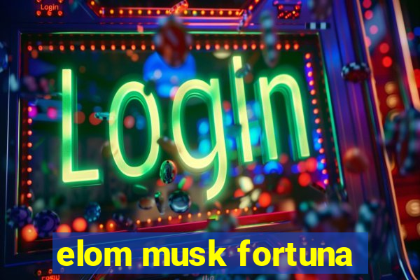 elom musk fortuna