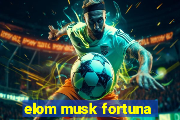 elom musk fortuna