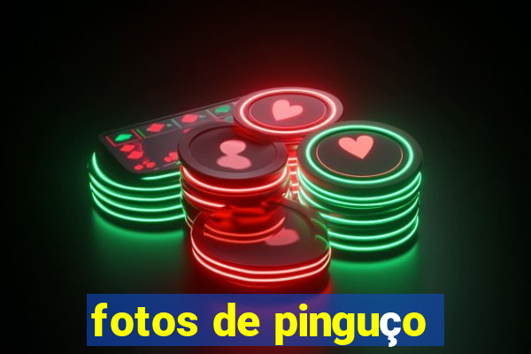 fotos de pinguço