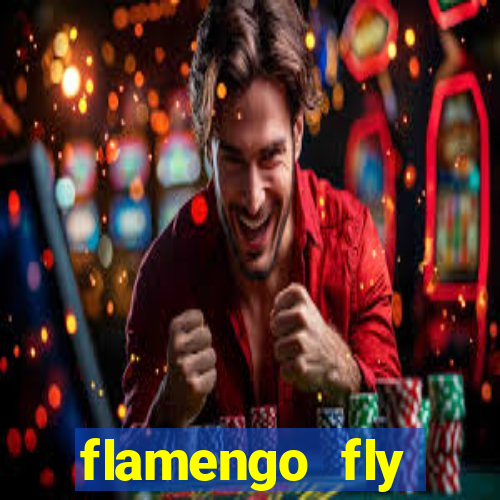 flamengo fly emirates ultimas noticias