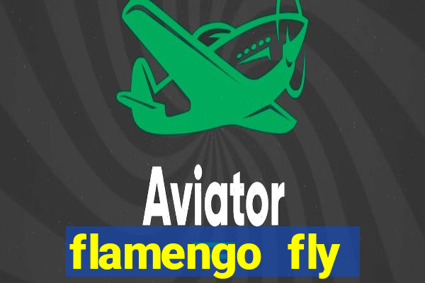 flamengo fly emirates ultimas noticias