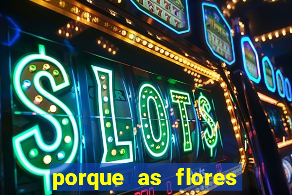 porque as flores da roma caem