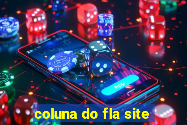 coluna do fla site