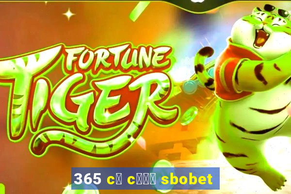 365 c谩 c瓢峄 sbobet