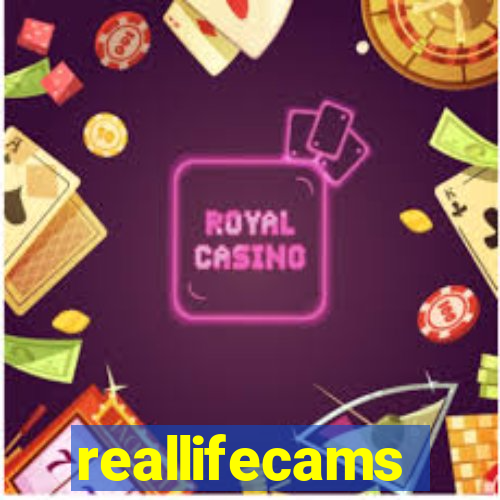 reallifecams