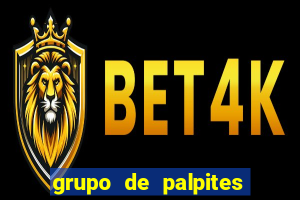 grupo de palpites de futebol telegram