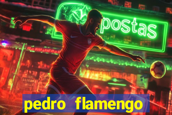 pedro flamengo antes e depois