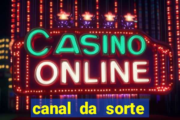 canal da sorte bingo de hoje