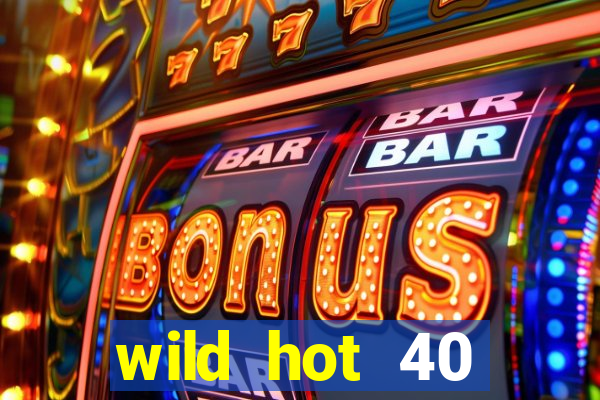 wild hot 40 christmas slot