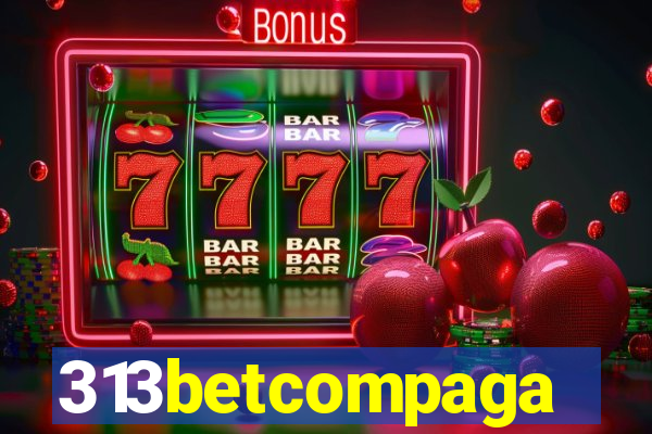 313betcompaga