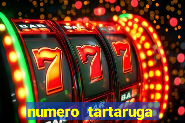 numero tartaruga jogo do bicho