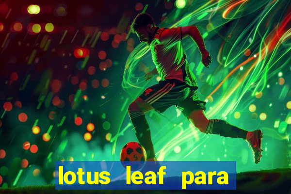 lotus leaf para que serve