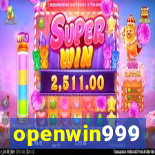 openwin999