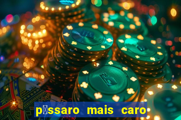 p谩ssaro mais caro do mundo