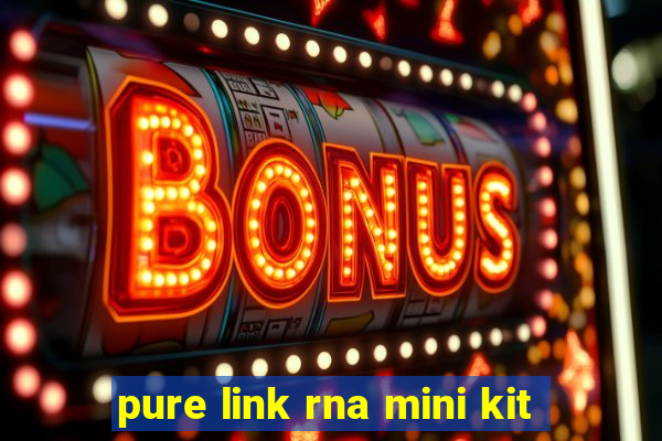 pure link rna mini kit