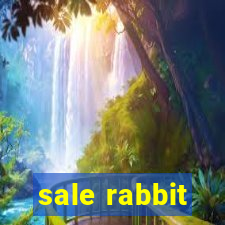 sale rabbit