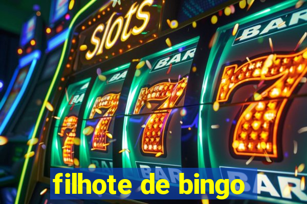 filhote de bingo