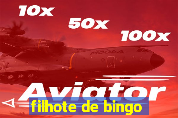 filhote de bingo