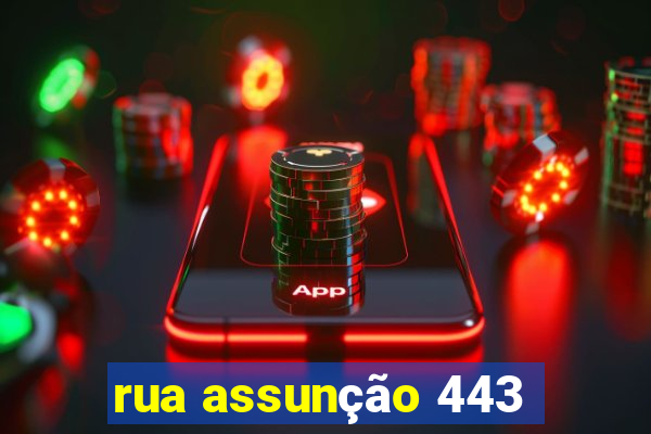 rua assunção 443