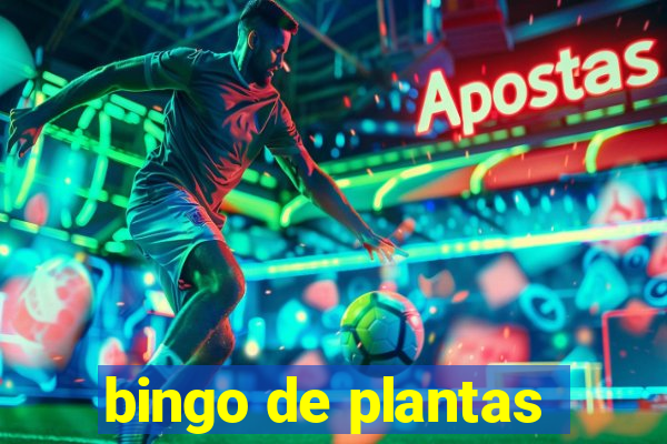 bingo de plantas