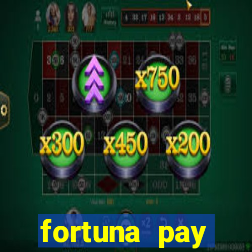 fortuna pay consultoria financeira ltda