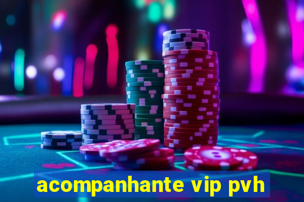 acompanhante vip pvh