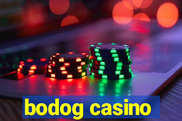 bodog casino