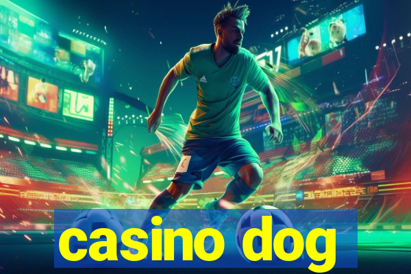 casino dog