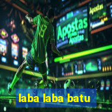 laba laba batu