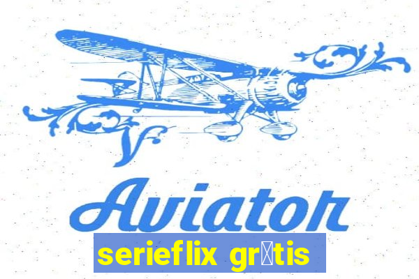 serieflix gr谩tis