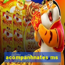 acompanhnates ms