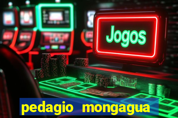 pedagio mongagua sao paulo