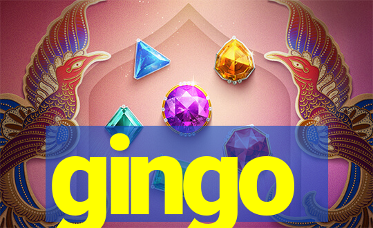 gingo