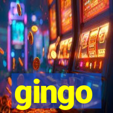 gingo