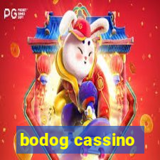 bodog cassino