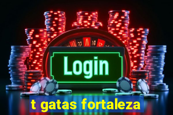 t gatas fortaleza