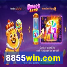 8855win.com