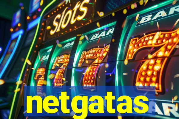 netgatas