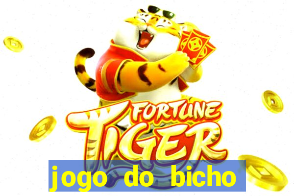 jogo do bicho online como jogar