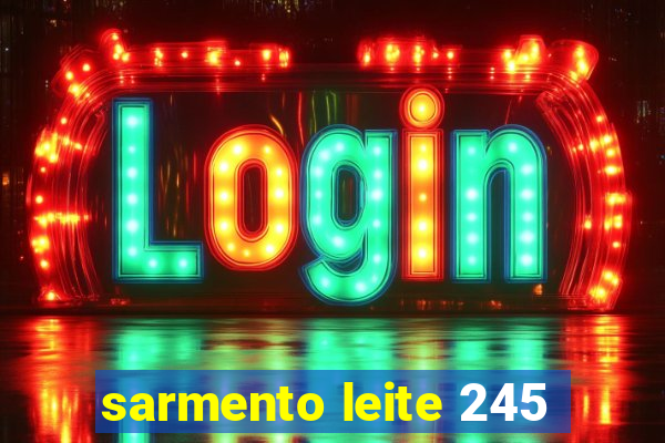 sarmento leite 245