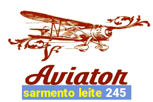 sarmento leite 245