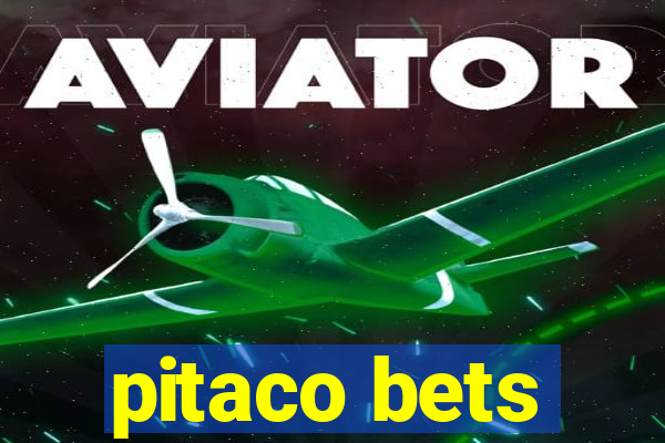 pitaco bets