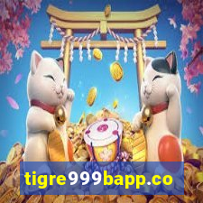 tigre999bapp.com