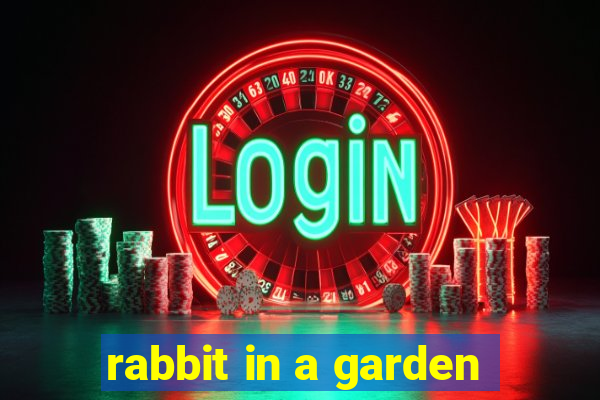 rabbit in a garden