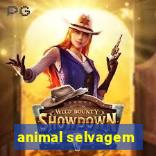 animal selvagem